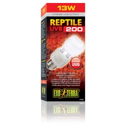 Ampoules Fluocompacte - Reptile UVB 200