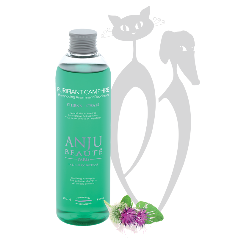 Shampoing "Purifiant Camphre" - Anju Beauté
