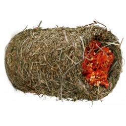 Tunnel de foin gourmet à la carotte pour rongeurs - 125 g