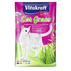 Cat Grass : Herbe à chat à semer - 50 g