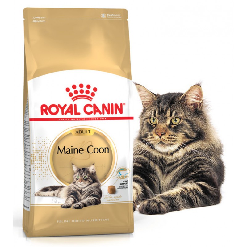 Maine Coon - Adulte - Royal Canin