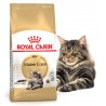 Maine Coon - Adulte - Royal Canin