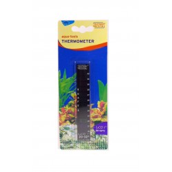 Thermomètre LCD - AquaDella