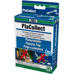 PlaCollect : Piège à...