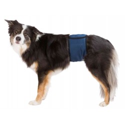 Protection de couches pour chiens mâles - 10 pièces