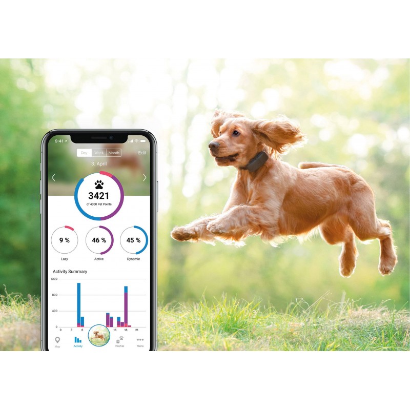 Tractive - Collier GPS pour chien - Localisation illimitée en direct -  Compat