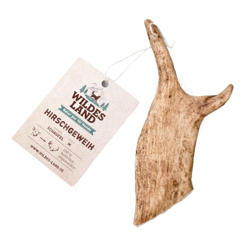 Bois de cerf nature - Taille M