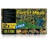 Forest Moss - Substrat pour terrarium - 2 x 7 L
