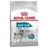 Chien adulte Maxi - Joint Care