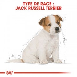 Jack Russel Terrier -  Junior - 1.5 kg