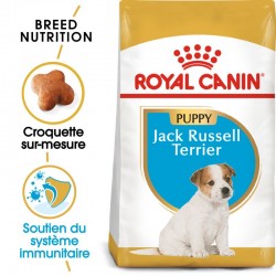 Jack Russel Terrier -  Junior - 1.5 kg