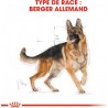Berger Allemand - Adulte - 11 kg