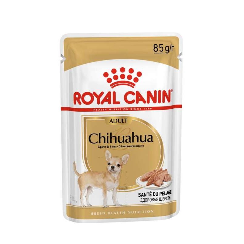 Chihuahua - Adulte - Mousse - 80 g