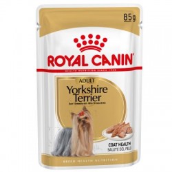 Yorkshire Terrier - Adulte...