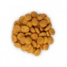 Chien adulte medium - Poulet - Hill's Perfect Weight