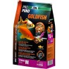ProPond Goldfish M : Stick de nourriture pour poissons rouges moyens ou grands