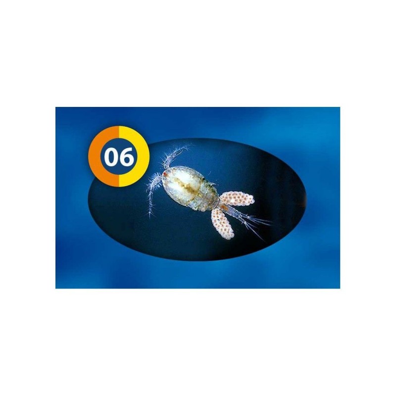 Cyclops : Nourriture congelée pour poissons - 95 g
